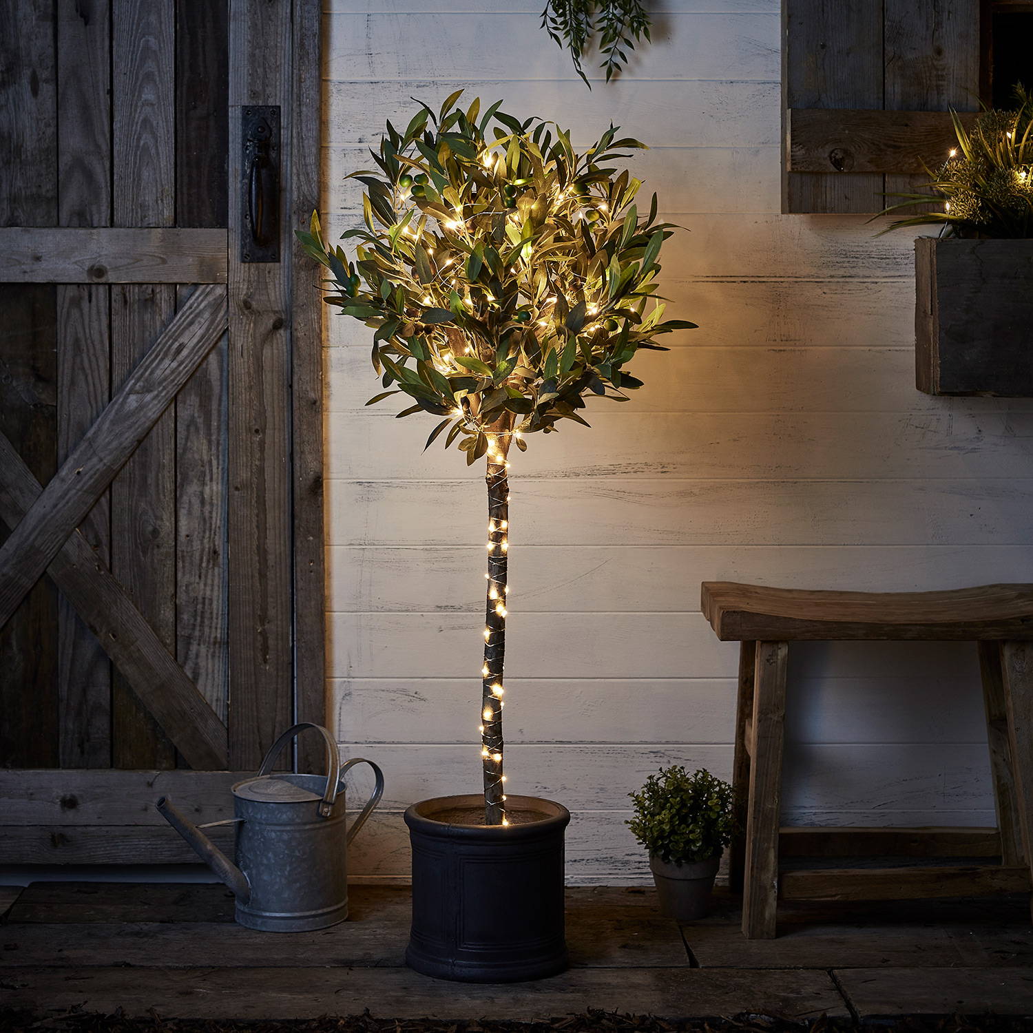 A small tree wrapped in warm white fairy lights outside a door.