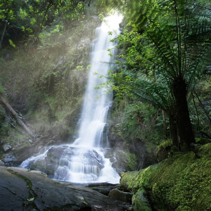 The 15 Best Waterfalls Near Melbourne, Victoria