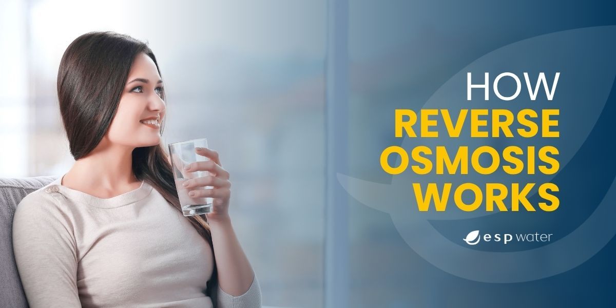 How Reverse Osmosis Membranes Work