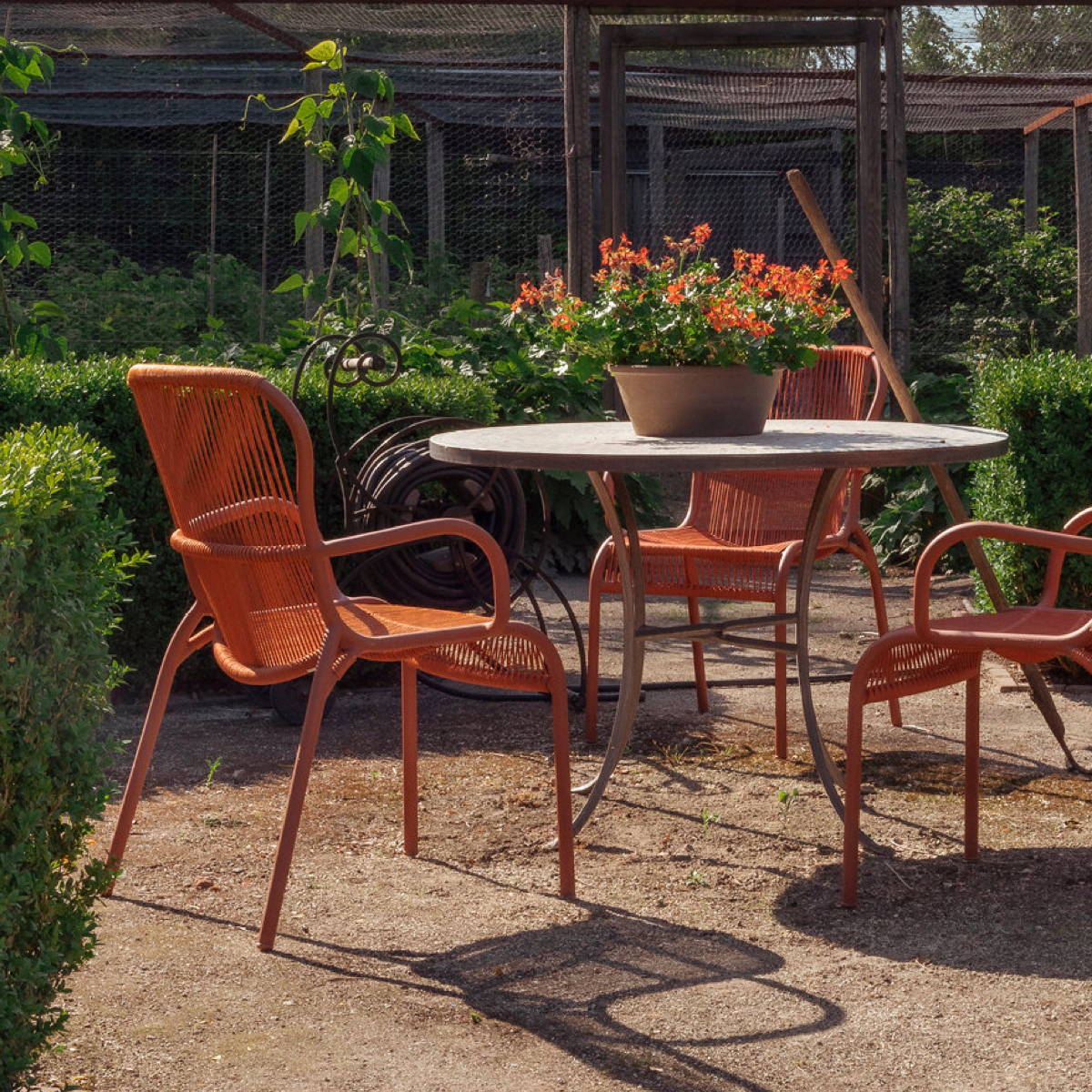 Three orange dining armchairs sit around a garden table laid with orange flowers.