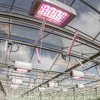 Traditional LED grow lights used in a warehouse setting.