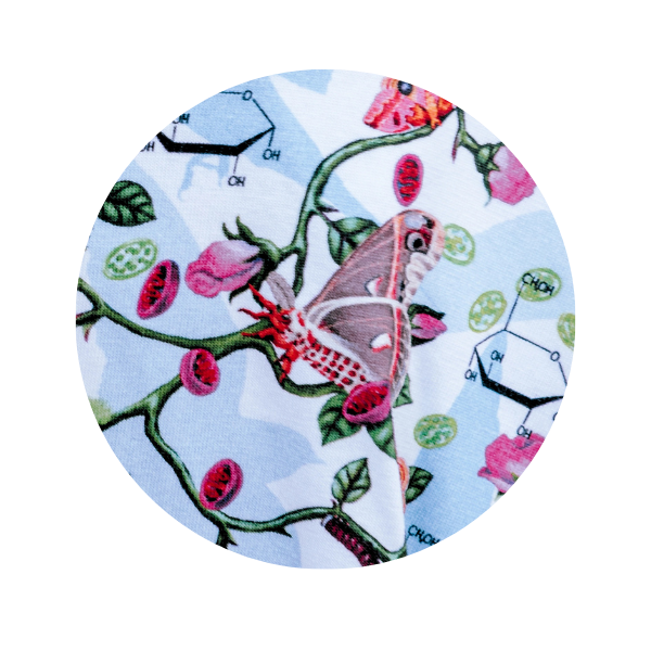 The primary consumers in this Trophic Levels print is several moth species