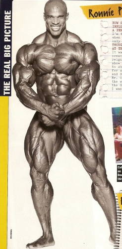 Ronnie Coleman 2001 Arnold Schwarzenegger classic rare bodybuilding photo gallery 