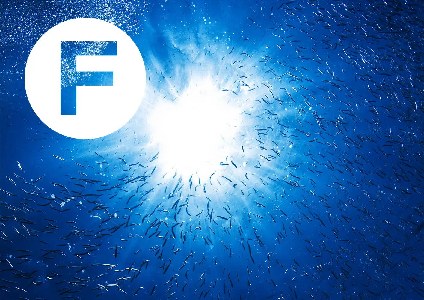 Letter F With Fish Background