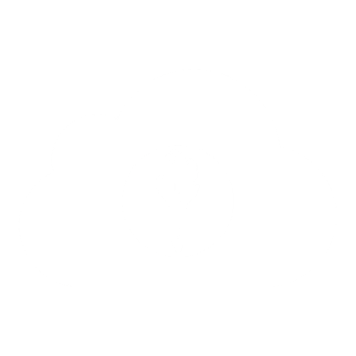 The MeatStick CloudSync™