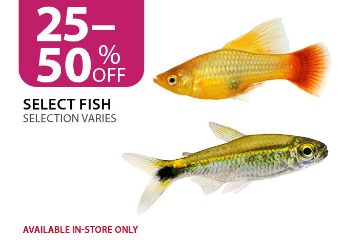25 to 50% off Select Fish. Available in-store only