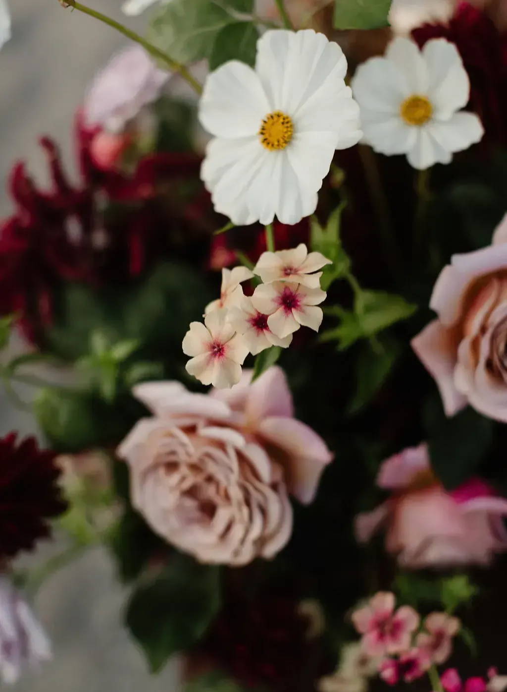 close up of a floral arrangement featuing white, red and pink florals