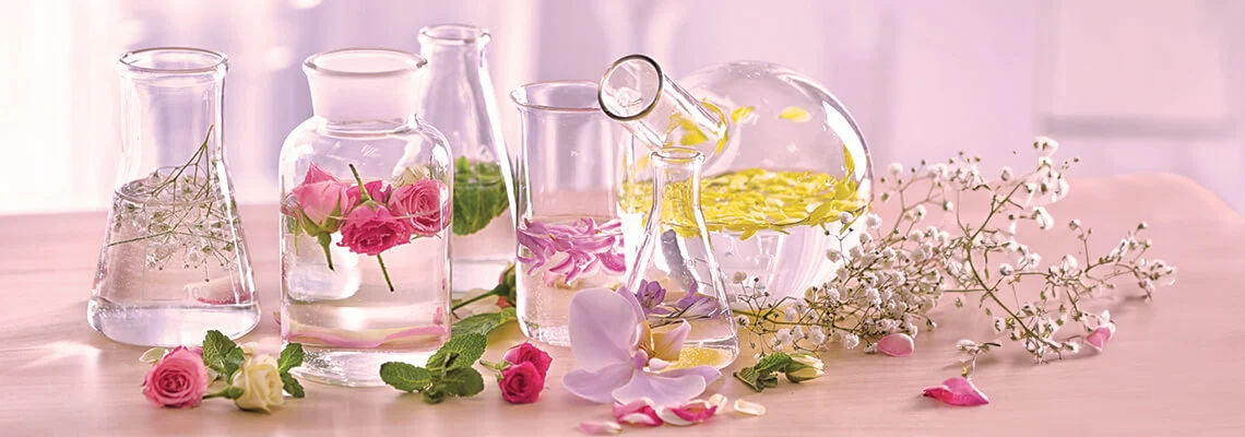 Glass vases with flowers and water on a light background.