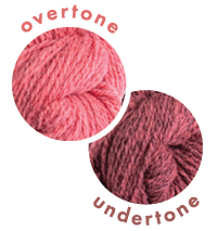Overlapping circles of yarn color samples Tones Light Lychee Overtone and Undertone