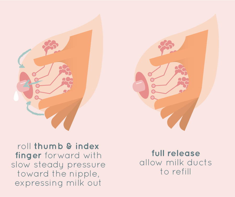 How to Hand Express Breast Milk: Step-by-Step Instructions