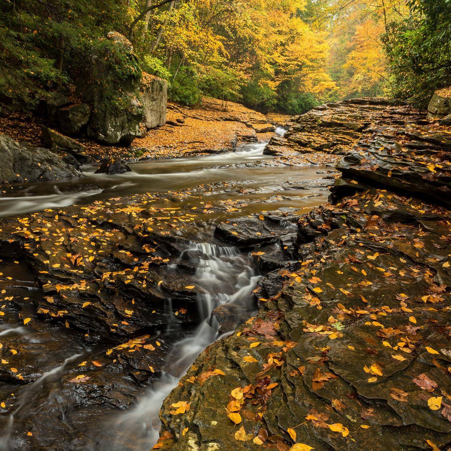 Meadow Run in Ohiopyle State Park