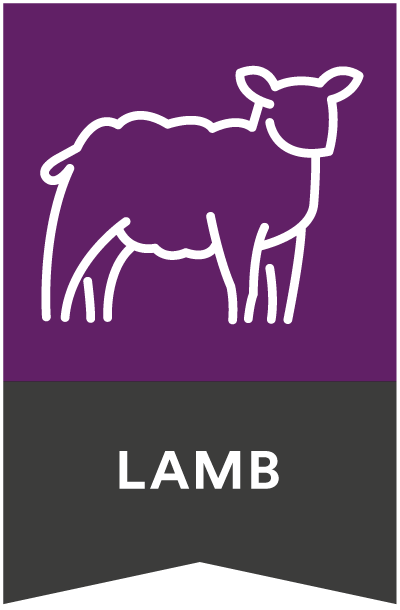 Country Pursuit Premium Key Selling Point Lamb Icon