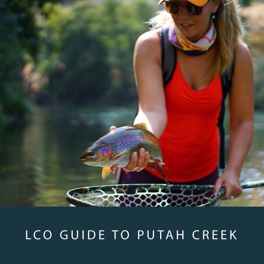 Fly Fishing Putah Creek – Lost Coast Outfitters
