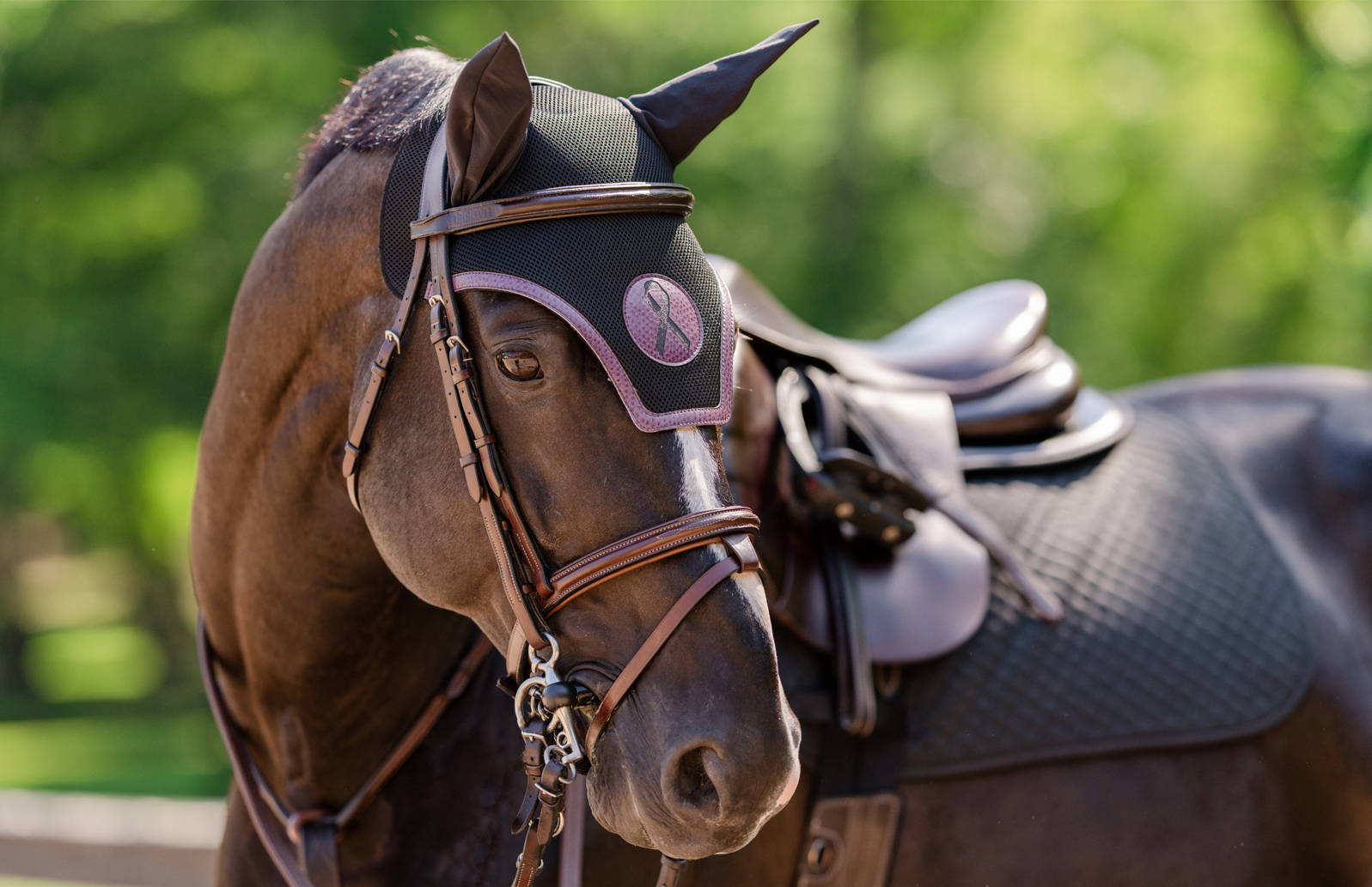 Custom Ear Bonnet on a horse