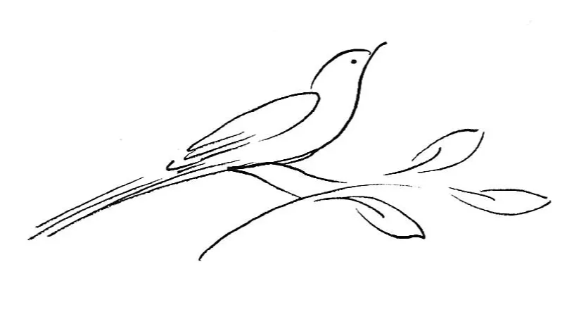 Black and white hand drawing of a bird on a branch with leaves
