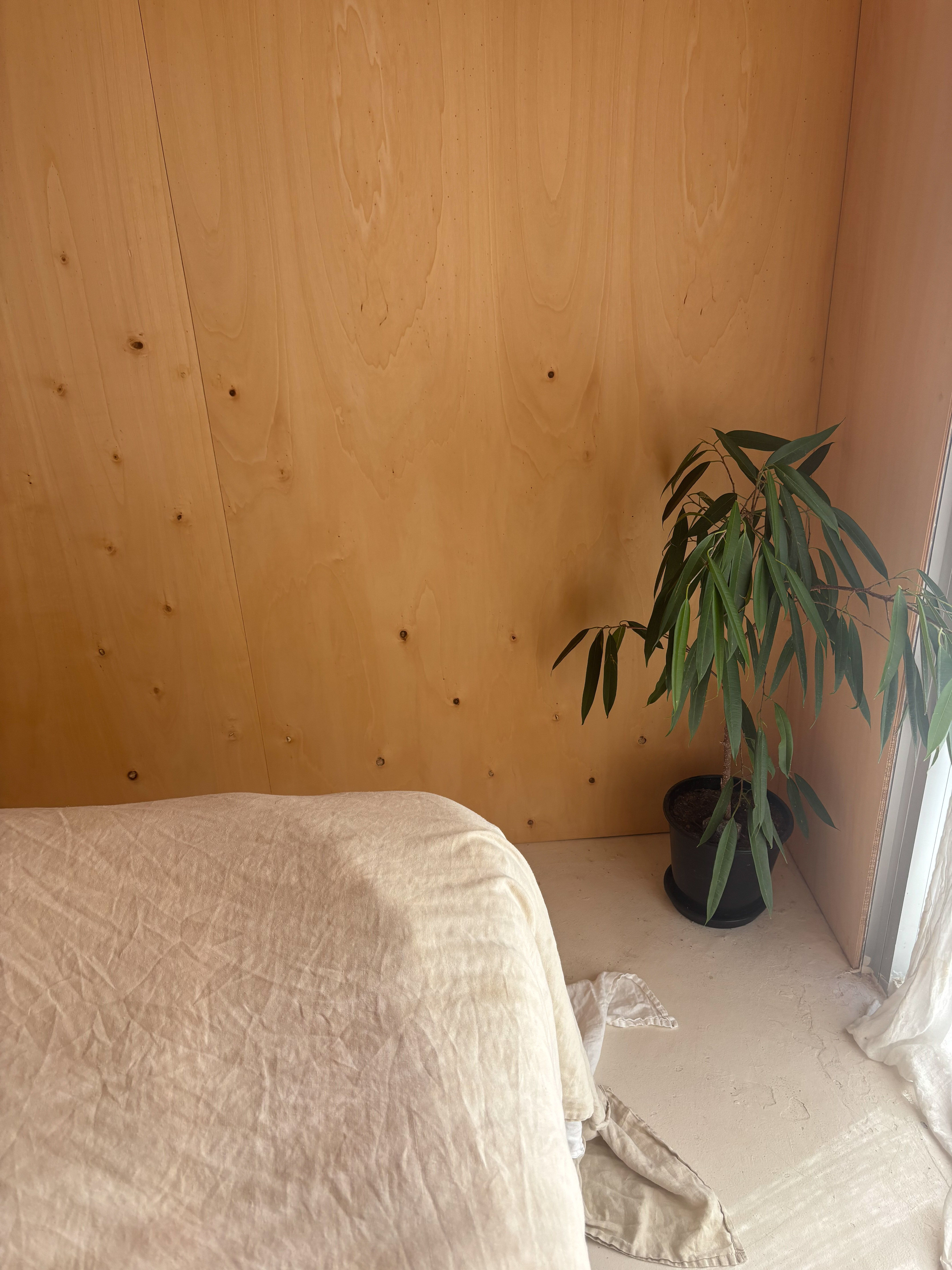 A cosy interior with a plant beside a bed and wooden wall.