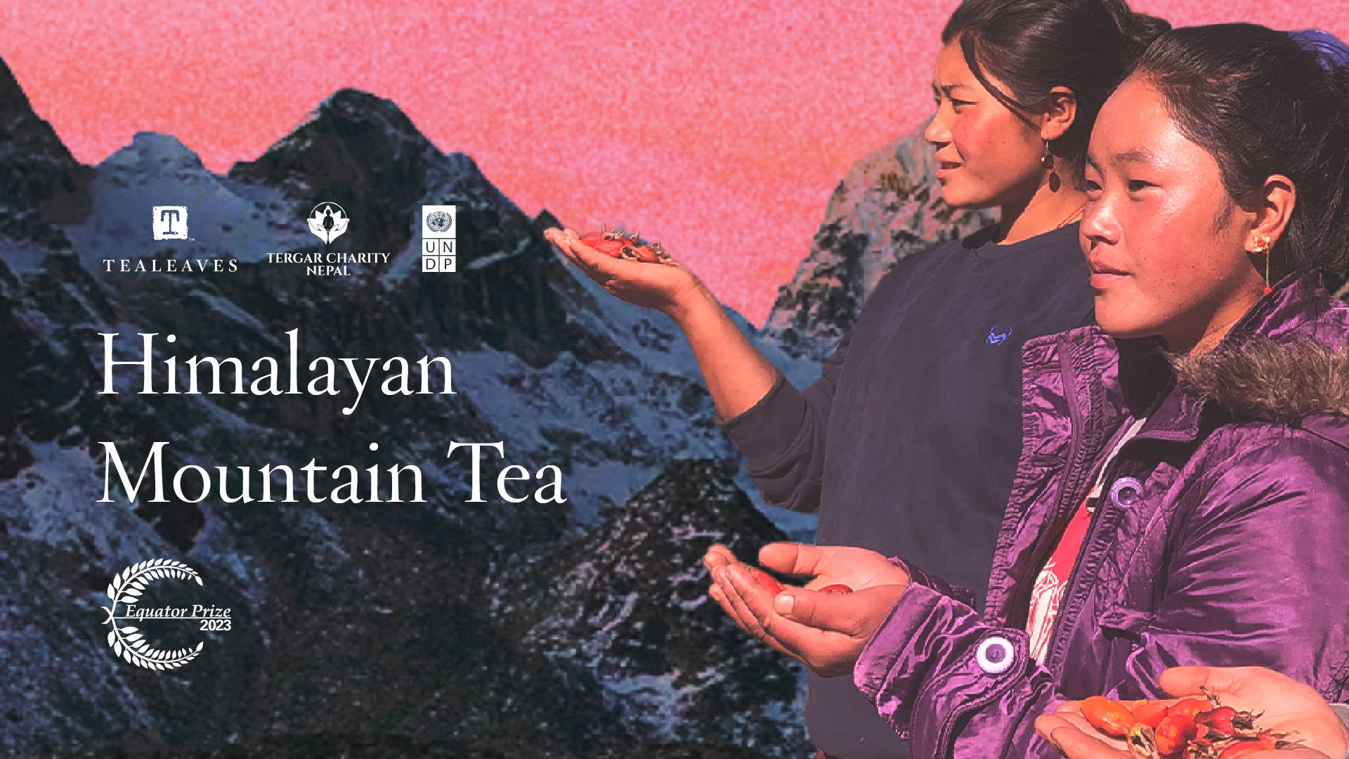 Himalayan Mountain Tea