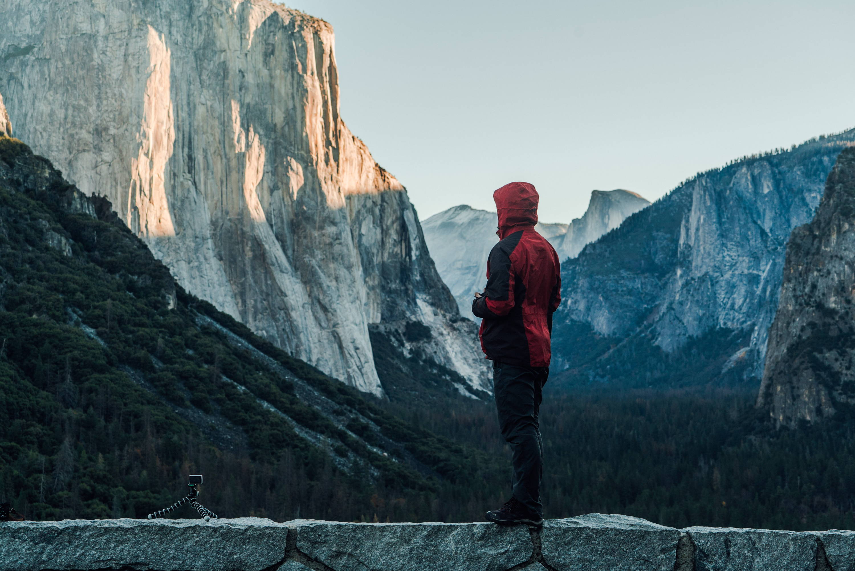 Man in red jacket stands looking at El Capitan from Tunnel View; things to do in Yosemite.