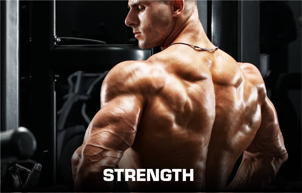 Strength - Muscular Pose
