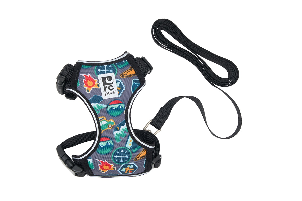 Dog harness with colorful patterns and attached leash.