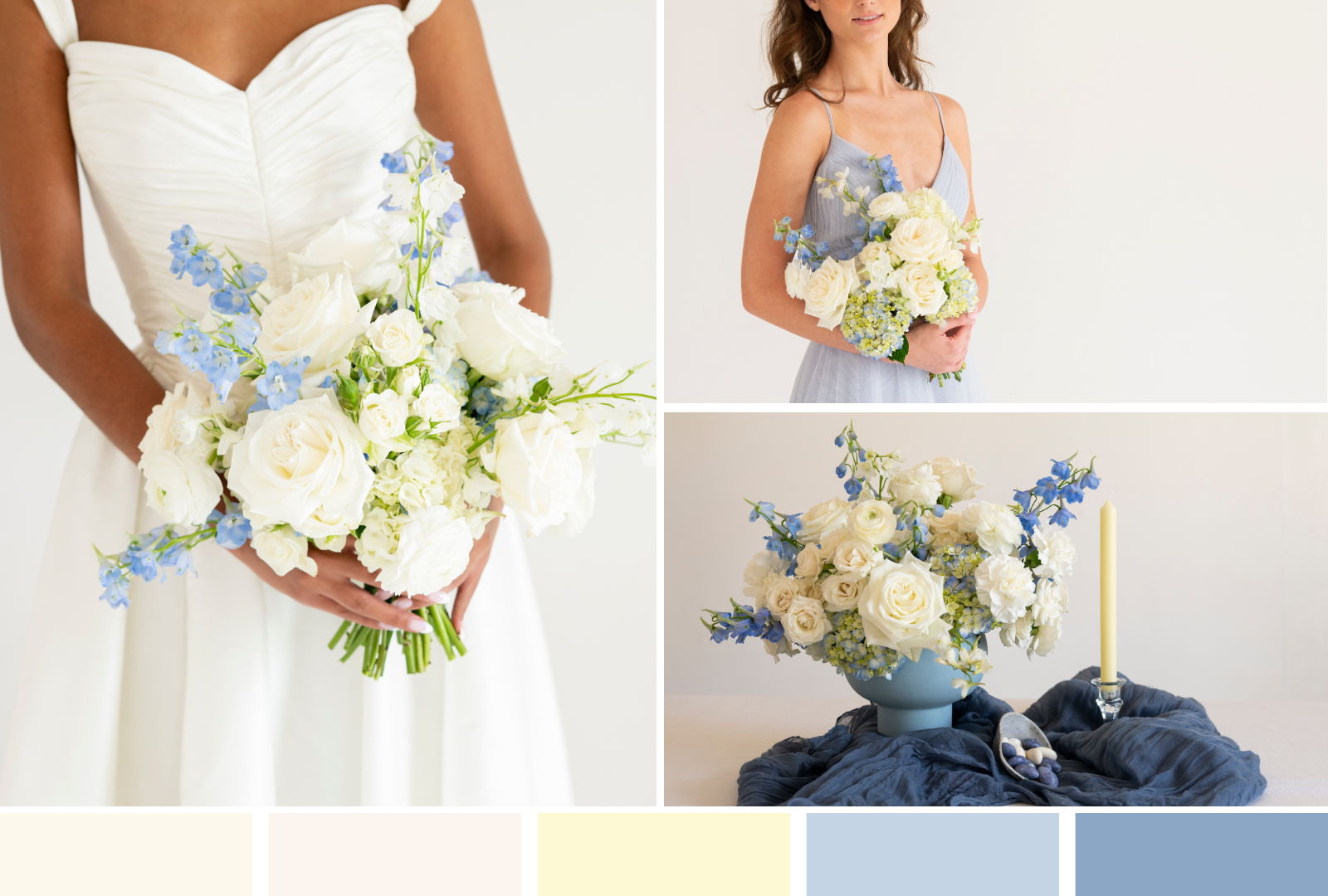coastal hydrangea