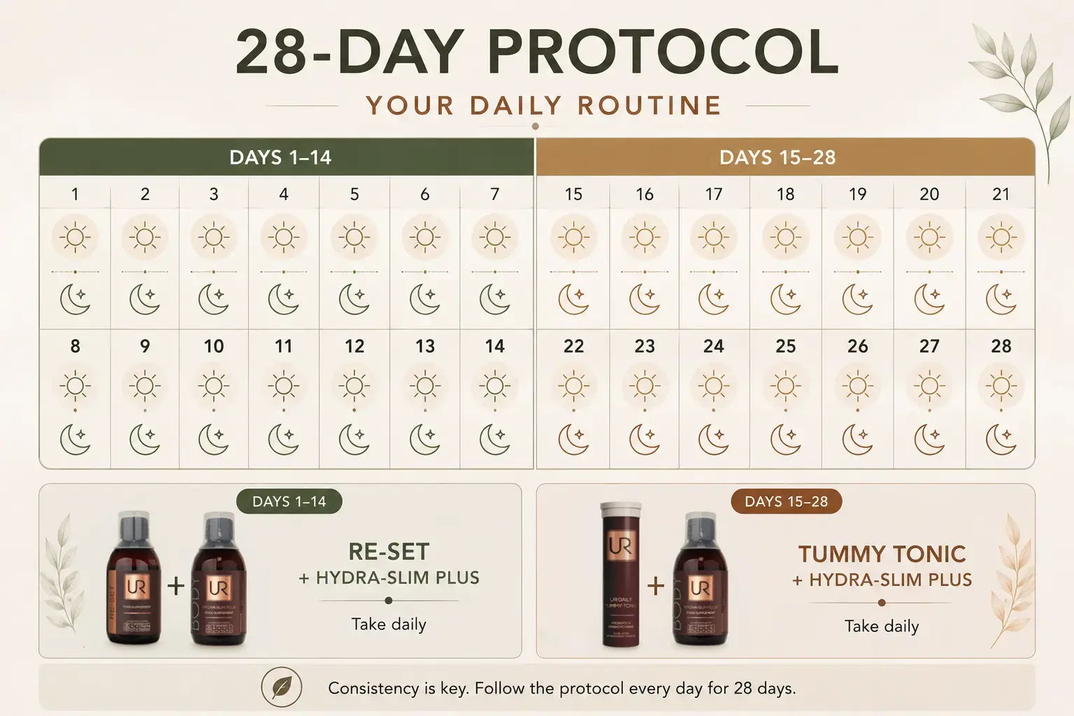28-day protocol routine chart with product instructions and daily tracking.