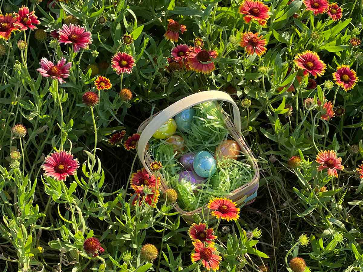 Close up of Easter hunting eggs in the basket by WholeWoodPlayhouses