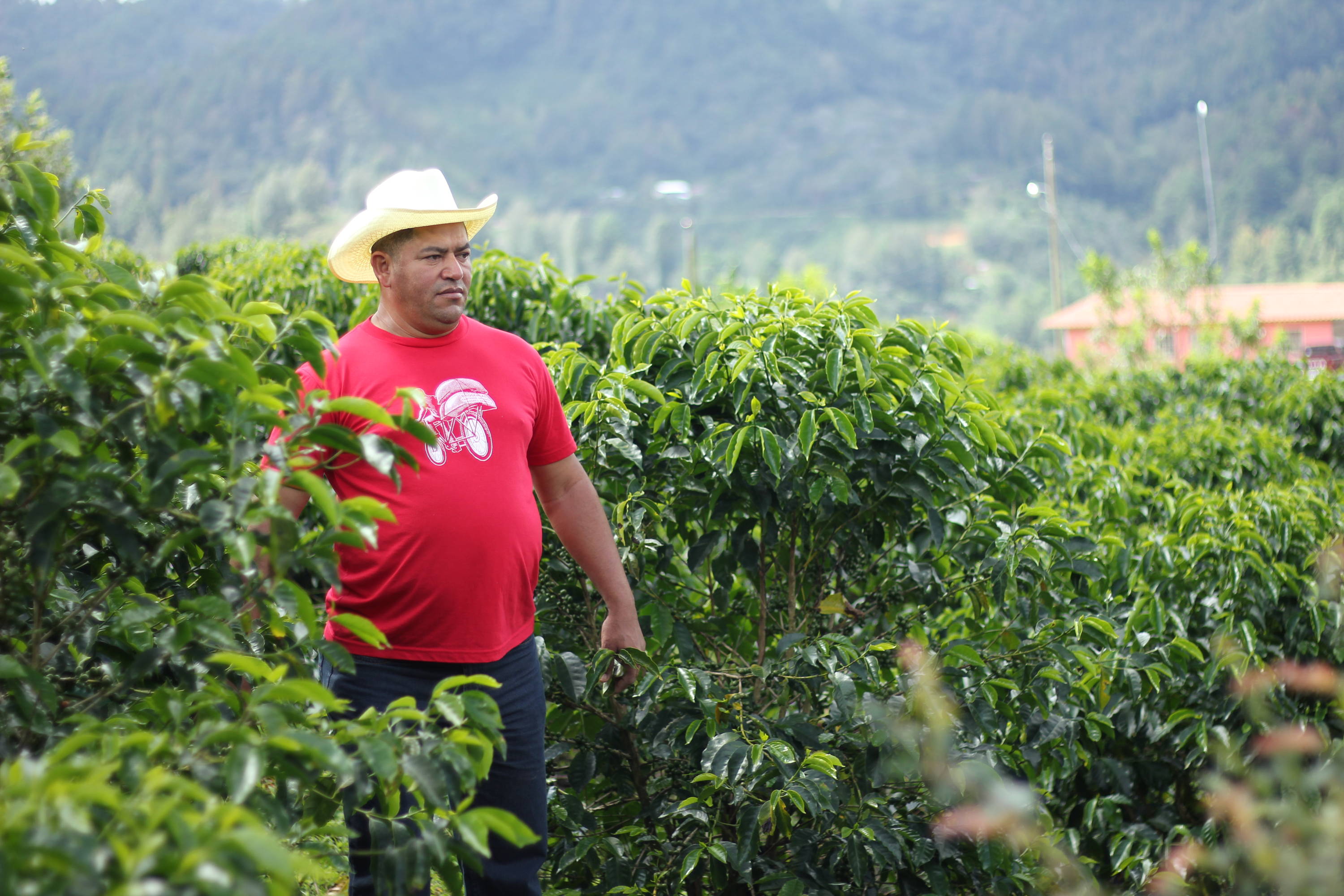 Oscar Omar Alonzo on his farm, Finca Cual Bicicleta