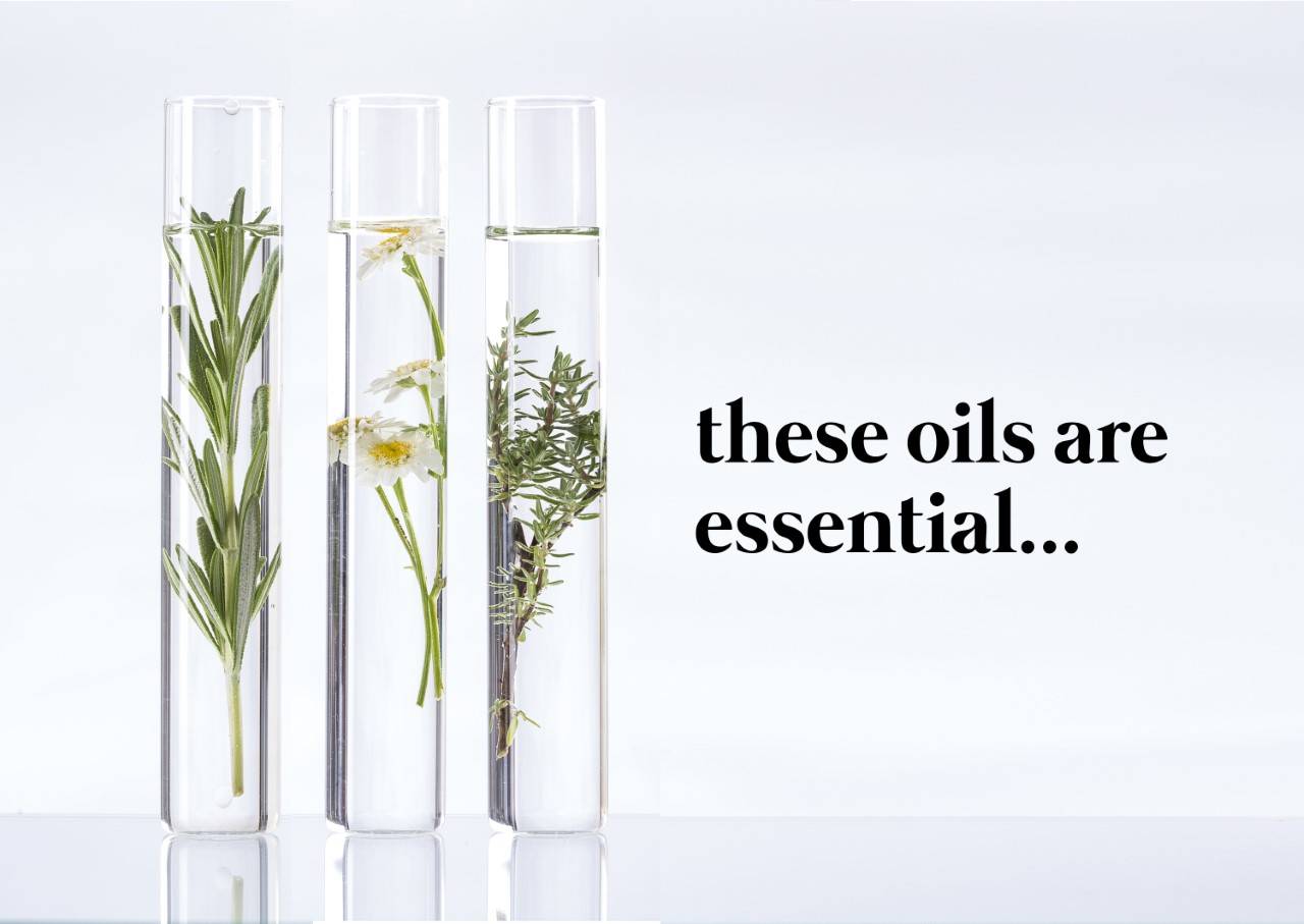 essential oils in our CBD vanilla rub