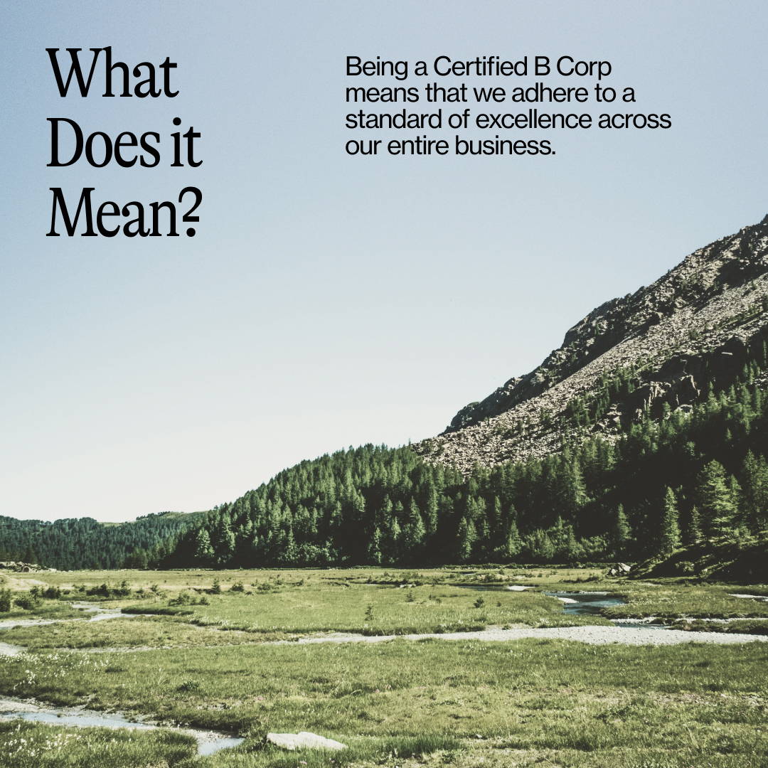 What Does it Mean to be B Corp Certified explained