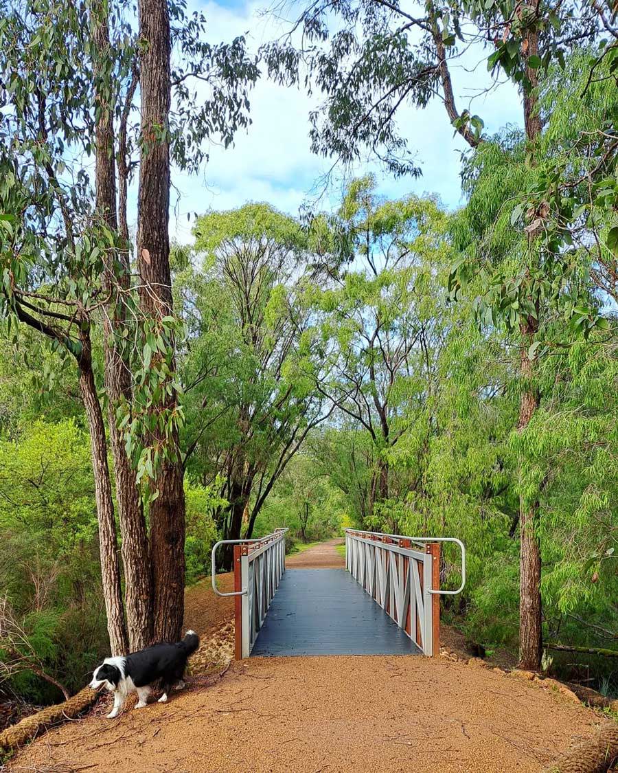 Wadandi Track – Margaret River, Best Hikes in WA