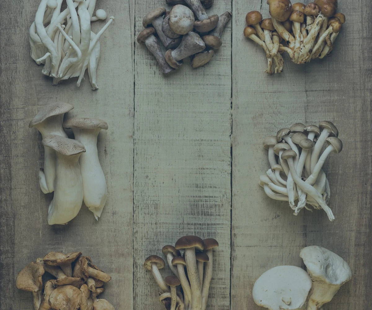 Mushrooms