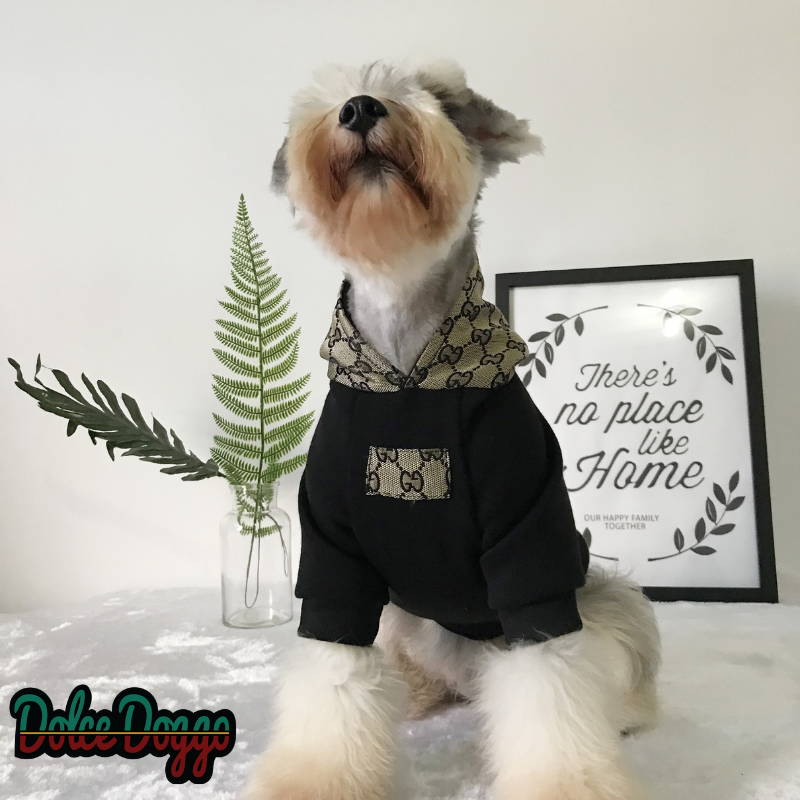 designer dog hoodie