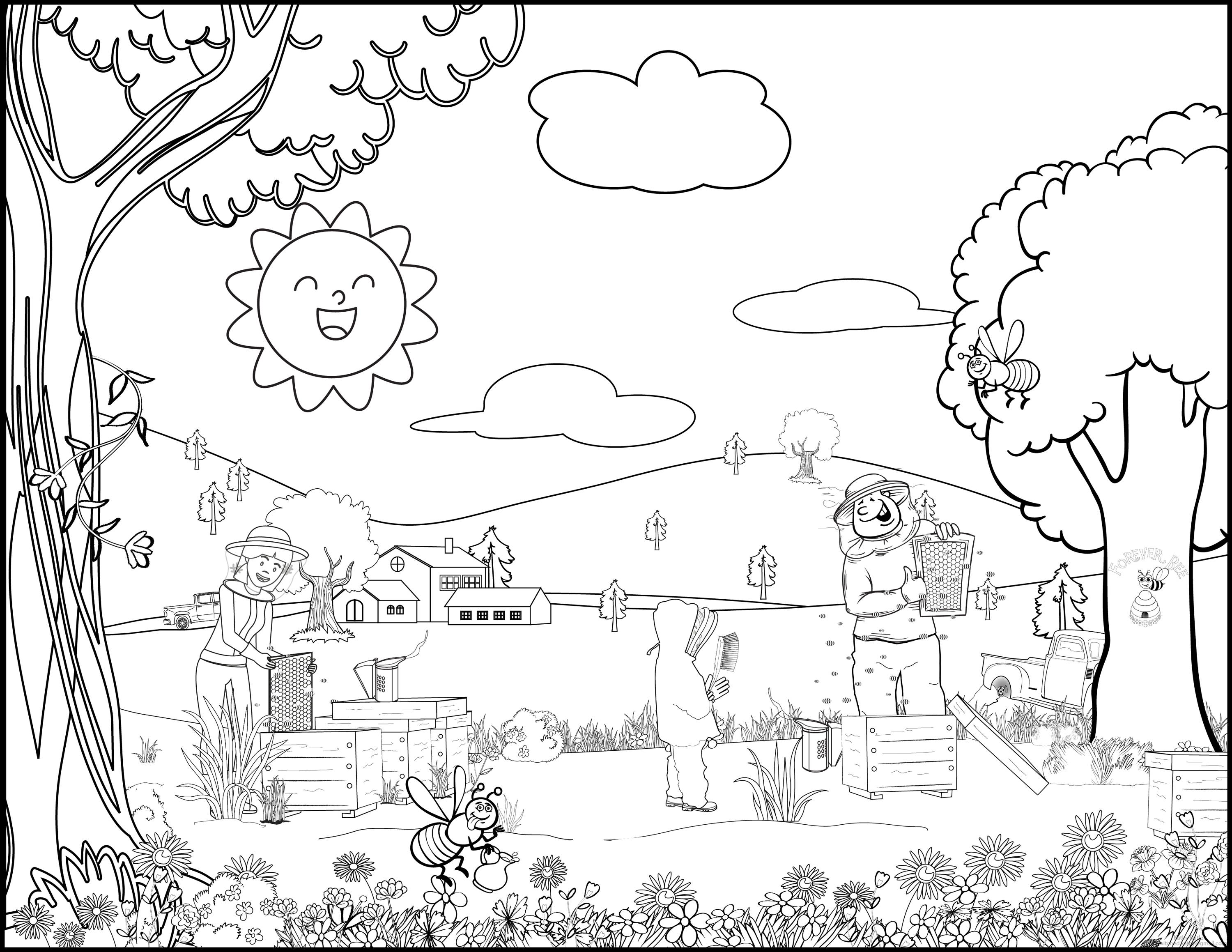Detailed Honey Harvest Colouring Page
