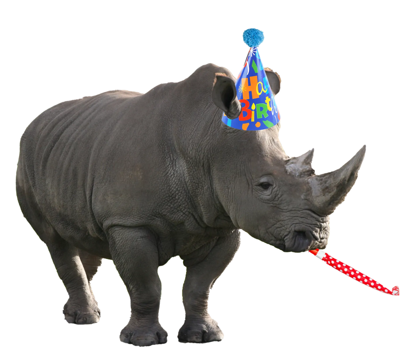Wildlife Safari Birthday Party Rhino