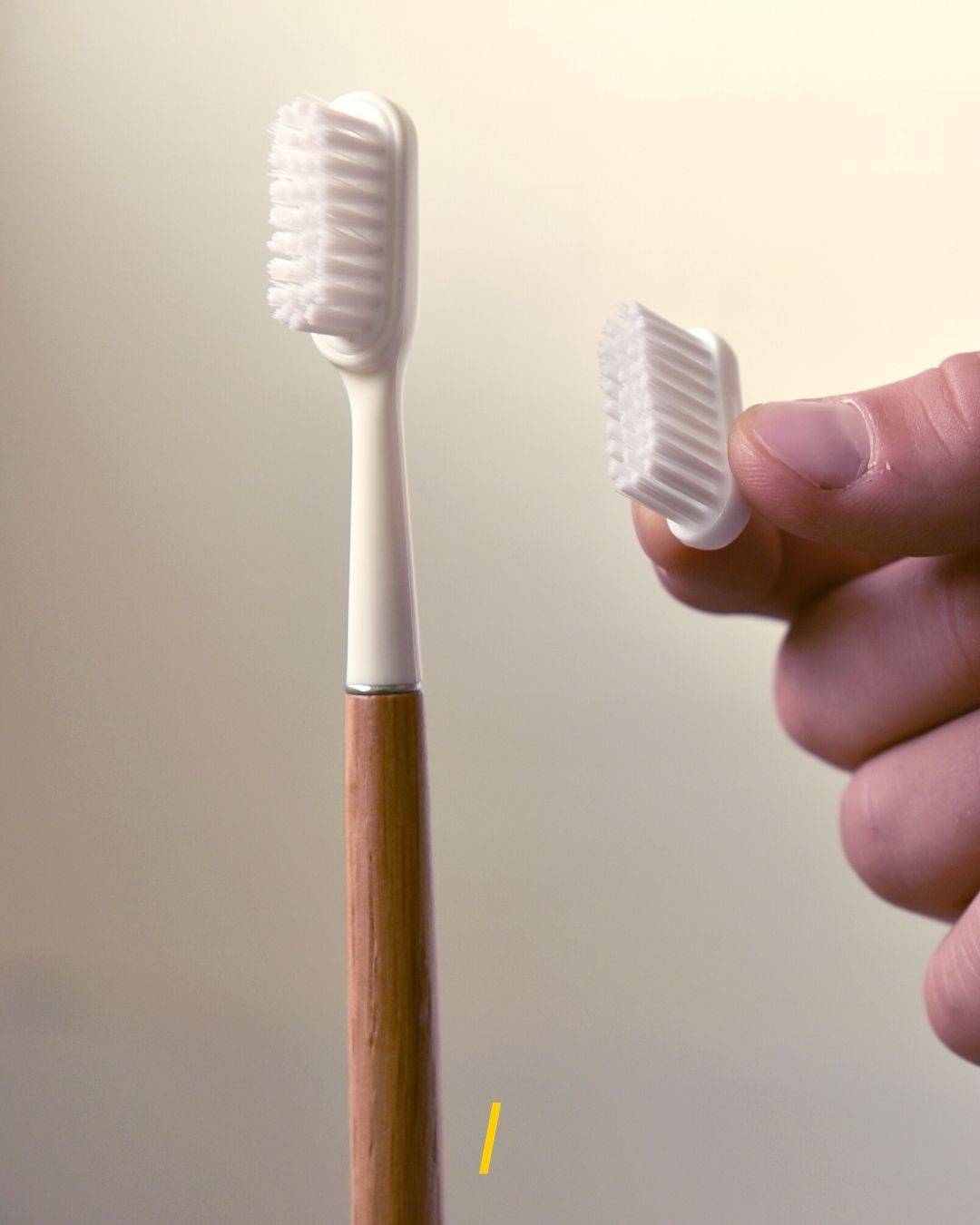 Support pour tenir la brosse à dents debout. Caliquo, bois de chêne