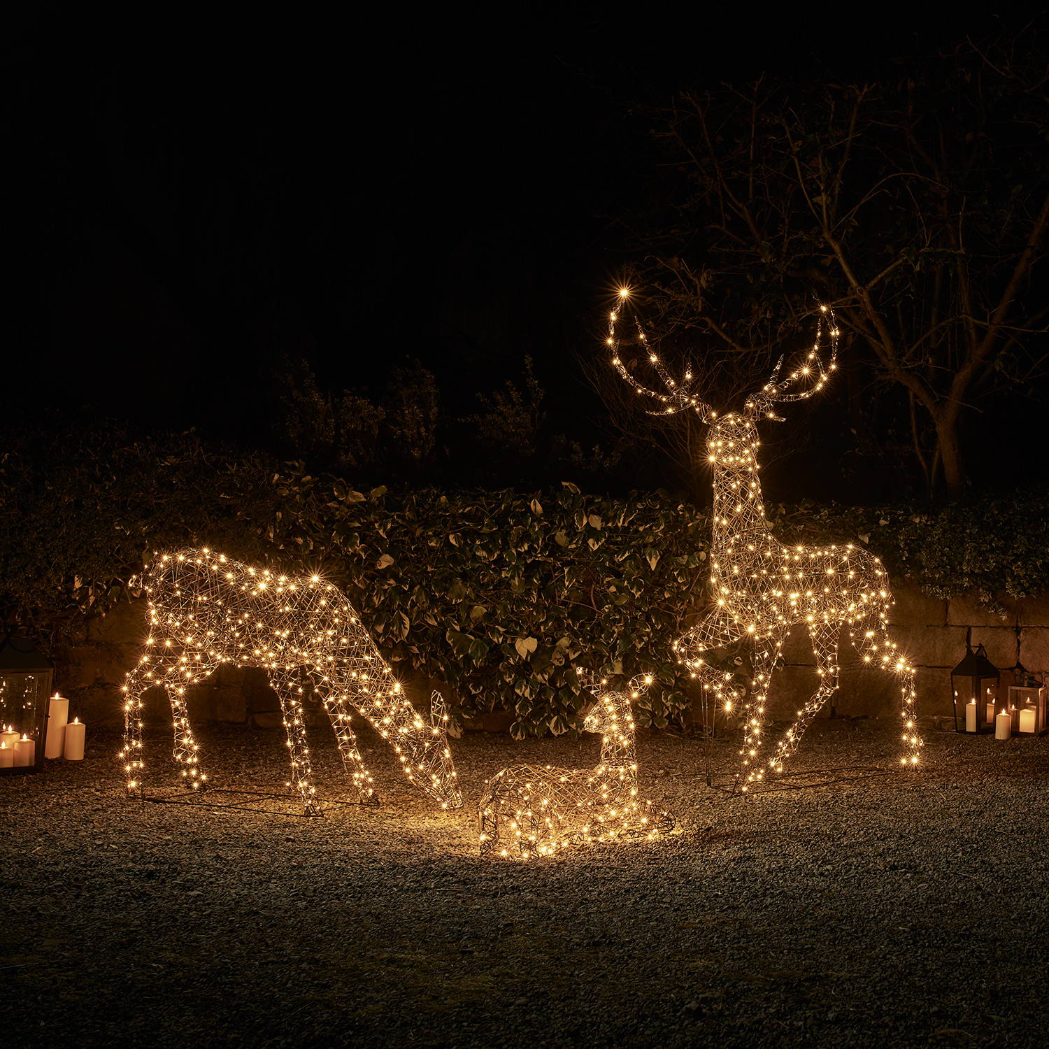 Famille de Grands Rennes de Noël Studley en Rotin