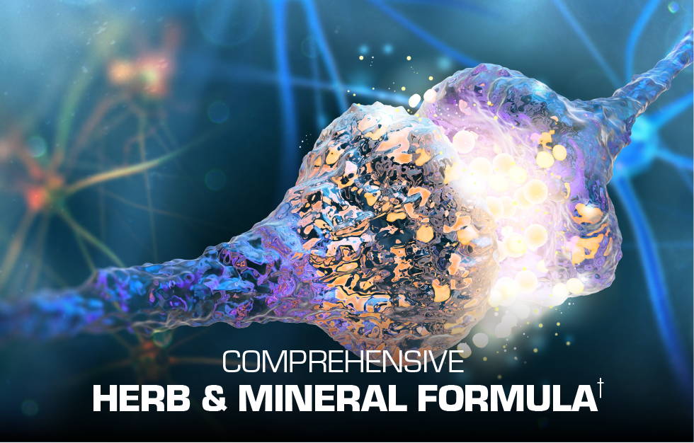 Comprehensive Herb and Mineral Formula
