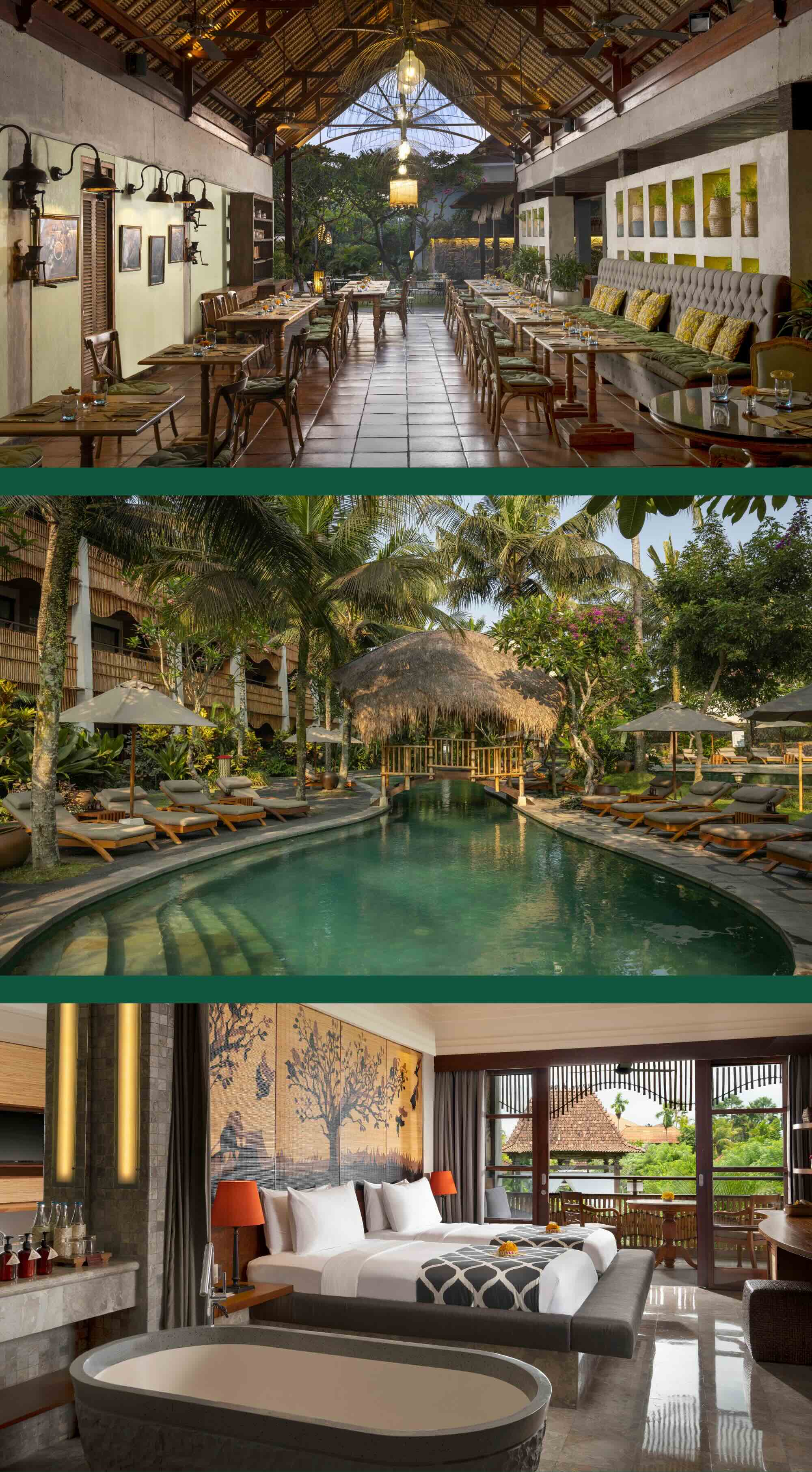 Alaya Resort Ubud the accommodation for LYFESTYLE Birding Retreats by LYFER