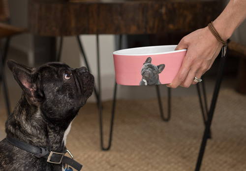 French bulldog receiving dinner in custom dog portrait bowl