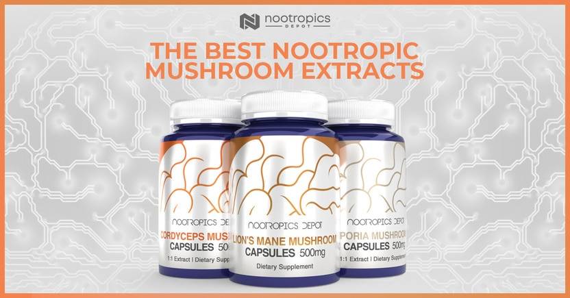 The Top Benefits of Mushroom Extracts