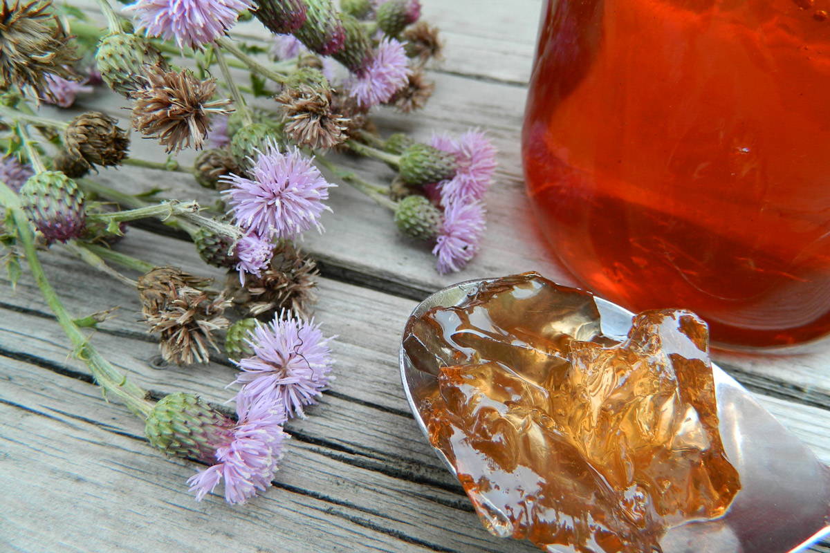 Wild flowers with honey or jam