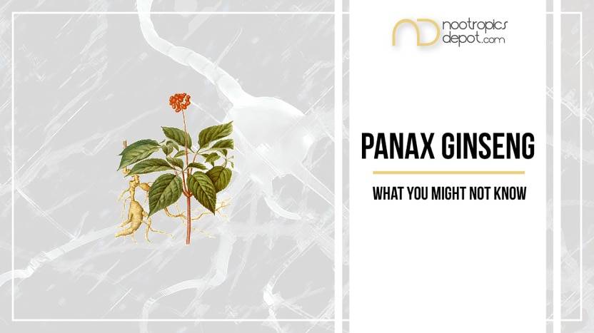 What You Might Not Know About Panax Ginseng