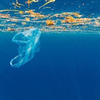 marine plastic pollution blog post