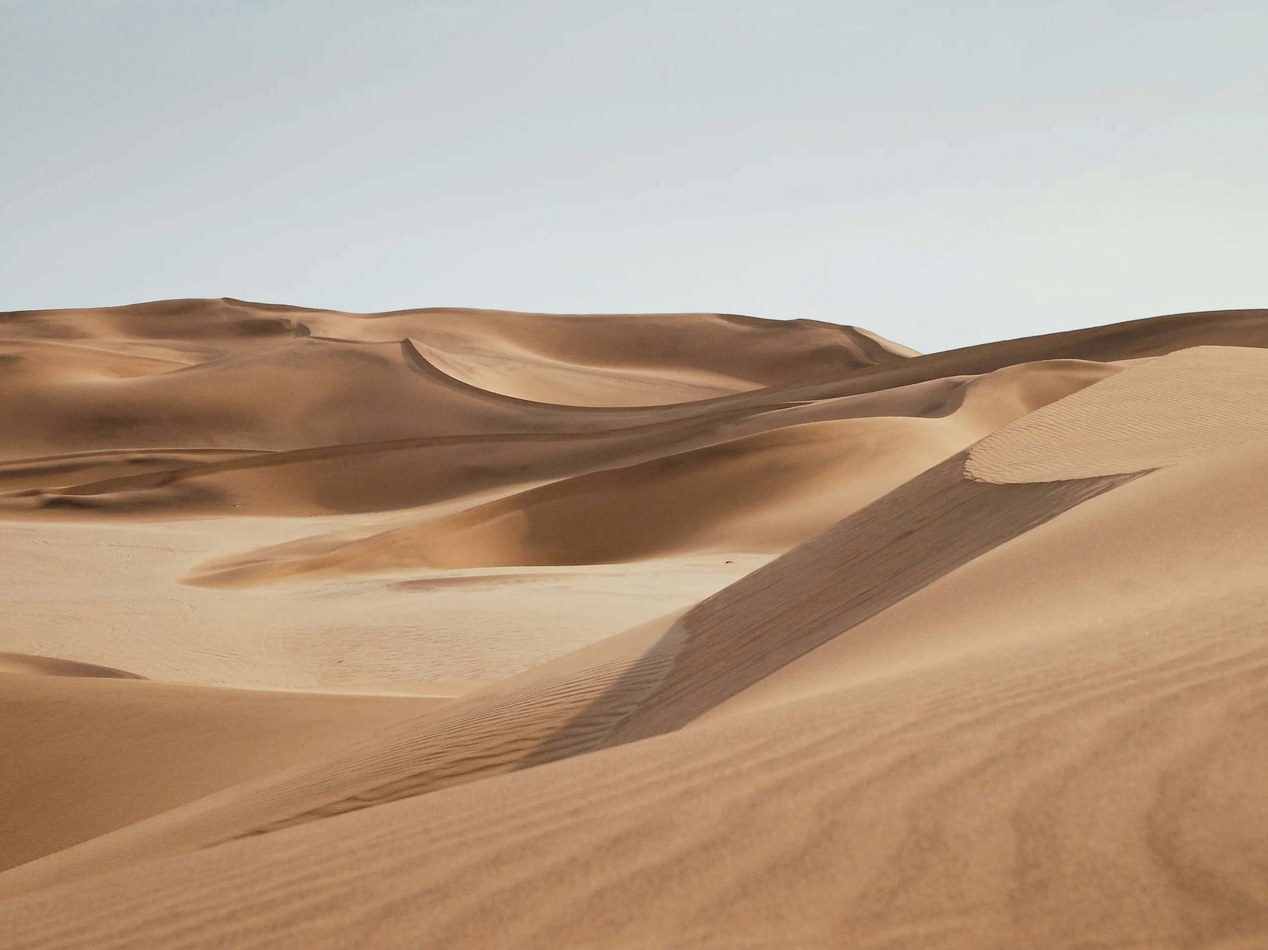 Expansive sand dunes