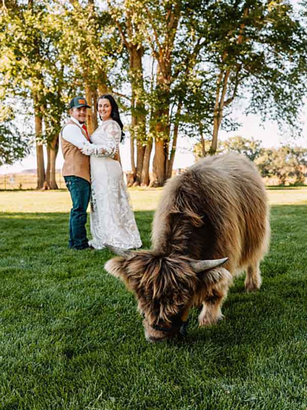 Bride and groom smiling at their ring bearer: A miniature highland cow