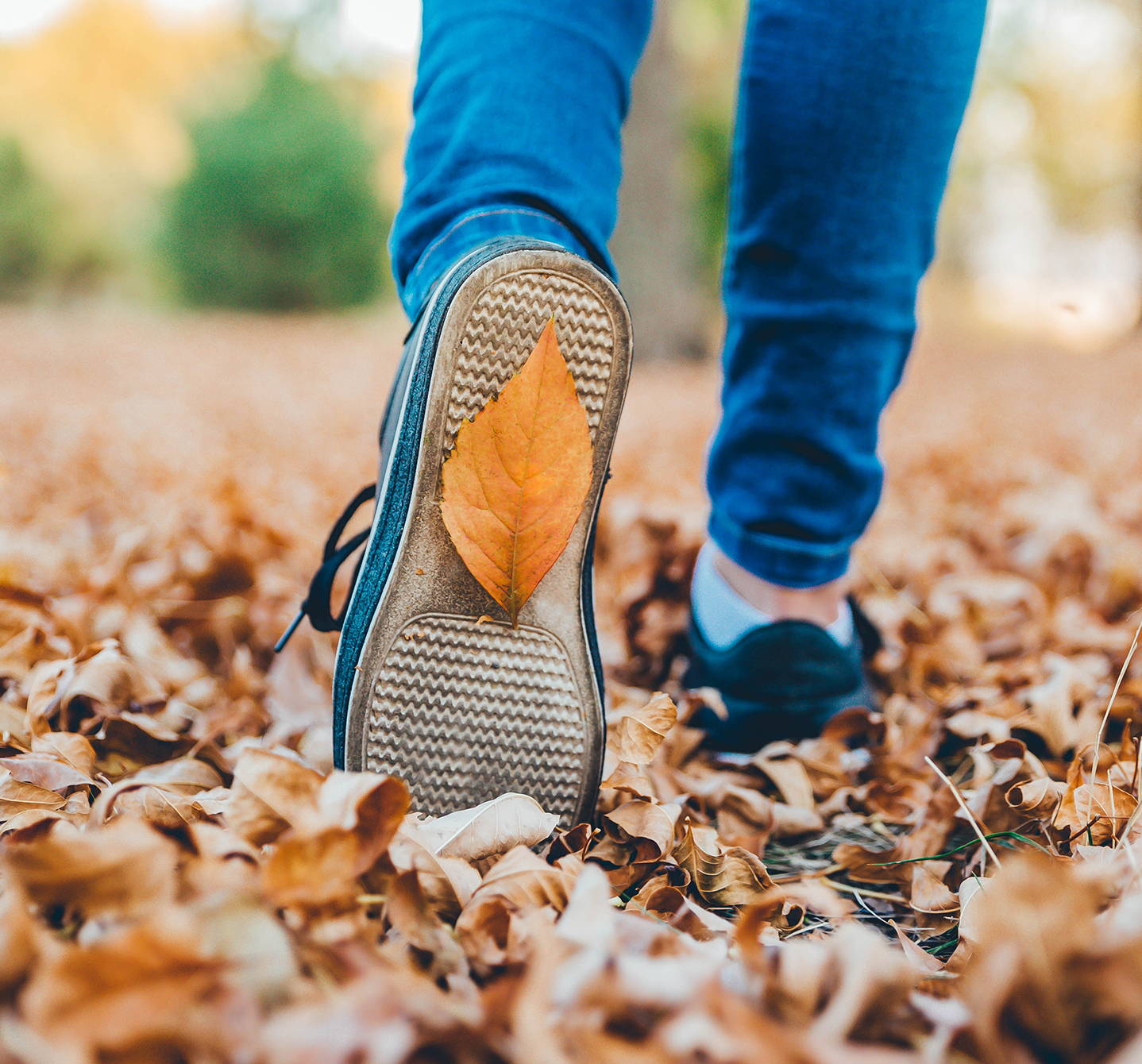 Was sind Schimmelpilzallergien? Es handelt sich um eine Erkrankung, die dir den Spaß bei Herbstspaziergängen verderben kann, da das Laub voll mit niesreizauslösenden Sporen ist.