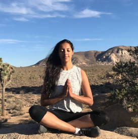 yoga-meditation-8-limb-path-joshua-tree-simply-smita