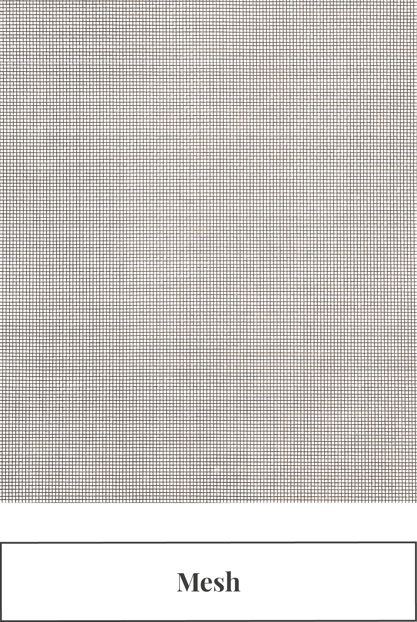 Mesh