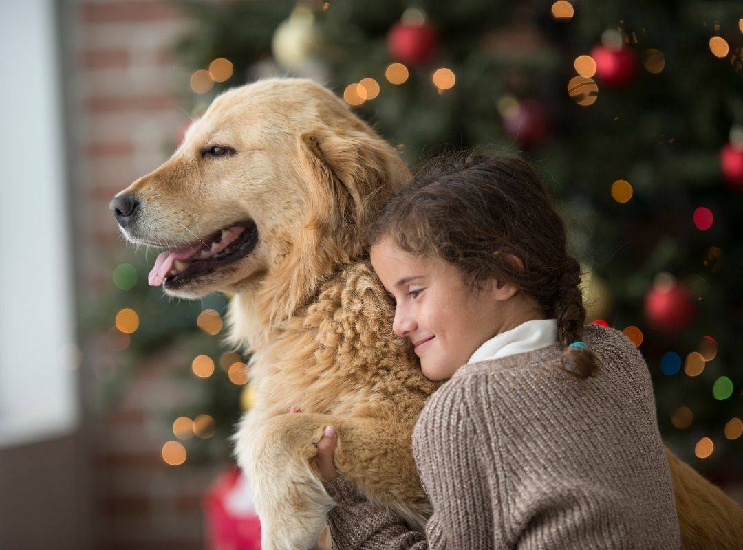 hugging dogs
